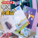 커피베이부여성왕로점 | 부여 소품샵 와사비 부여 여행 선물 굿즈 추천