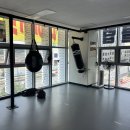 조치원 세종복싱클럽 이미지