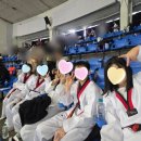 큰나래태권도장 이미지