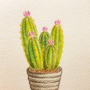 색연필 일러스트 이미지