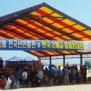 링 종합격투기 이미지