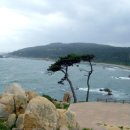 우리는 이곳에서 이미지