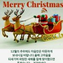 [2024:12/25] 광복로 겨울빛🎄 트리 축제. Marry Christmas 남포동🌕야경 🌃 워킹👣 이미지