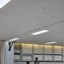 태극체육관 | 2025년 12월 배곧 블랙벨트 태권도 하반기 공개심사 후기