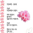 시화 이미지