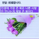 🆘️성층권에서 평양을 지켜보는 한국의 눈, EAVE-4 드론? 🏕상주 아지매들 🎵가수:박진석 🎶노래:무정한 사람" 이미지