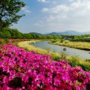 함양 상림공원: 천년 역사의 아름다움 이미지