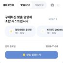 메디덴탈 솔루션 | 개인별 솔루션 맞춤영양제메디코치 후기