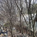 실거주 15년, 묘목 성목 가득한 신원동 400평 농장 양도 (우선 매수 혜택) 이미지
