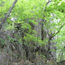 원동축산 이미지