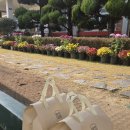 풍향초등학교 이미지