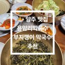 용암리 | 🍜 용암리막국수 솔직후기 – 양주 맛집 부지깽이 막국수 추천