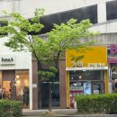 방배김밥라이프쉐프 네이버블로그