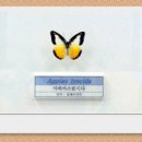 양지카운티 이미지