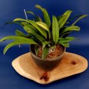 정열농장 이미지