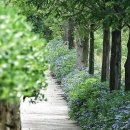 그레이스쇼핑 이미지