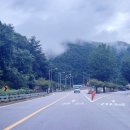 [디지털]SNS활용 오전반 | 디지털드로잉 강사 캐릭터 굿즈 디자인 교육 정선군가족센터 3회 차 후기