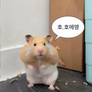 게으른 날 이미지