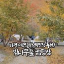 가평 애견동반 밤나무숲 캠핑장으로 가족여행 다녀온 후기