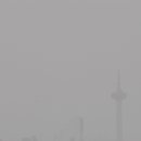 철길숲(학산동) 이미지