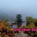 집집공인중개사사무소 이미지