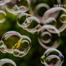 의료법인 산수의료재단 네이버블로그