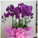 정암한의원 이미지