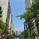 우성3차 | 임장후기 | 강남구 개포동 개포우성3차