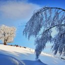 석양목장 이미지