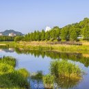 들마1-2교 | "6천 평이 전부 꽃밭인데 무료"...작약꽃 군락지로 유명한 무료 여행지