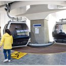 정선 가리왕산 케이블카 이미지