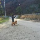 하늘아래 첫동네 꿩밭 이미지