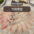 광안리 신라횟집 | 부산 광안리 깔끔한 횟집: 신라 횟집 내돈내산 후기