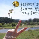 꼬시네 돈까스 이미지