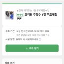 주짓수 | 일산 여자 주짓수 후기 | 스트레스 풀기, 잡생각 없애기엔 딱..☆★