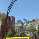 장안 근린공원 | 2024.4.1.장안근린공원 걷기