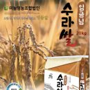 미농