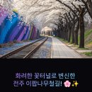 마령면 이팝나무길 | 【2025 봄 여행지 추천】전주 팔복동 이팝나무철길 터널, 이팝나무 축제 완벽 가이드