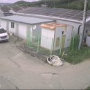 선명태양광발전소 이미지