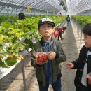 김주원농장 이미지