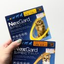 구름약국 | [내돈내산] 심장사상충과 내외부기생충을 한 번에!🐶 넥스가드 스펙트라 급여 후기