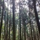 수산본향당 네이버블로그