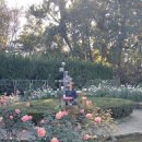 일층봄약국 이미지