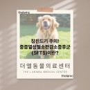 더엘동물의료센터 이미지