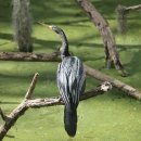 평택항 국민여가캠핑장 이미지