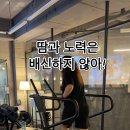 한국다이어트코칭협회