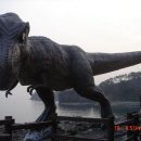 해양레져민박 이미지