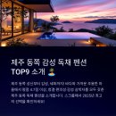 동녘에 머문 청춘 민박 | 제주 동쪽 감성 독채 펜션 추천 리스트