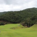 기장동원로얄컨트리클럽 이미지