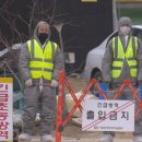 동일농장 이미지